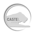 Castel Afrique